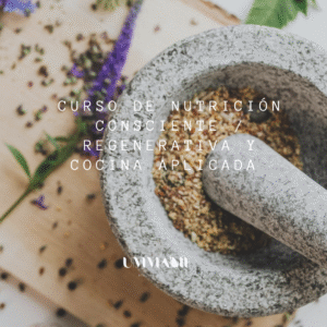 Curso de Nutrición  consciente- regenerativa y cocina aplicada