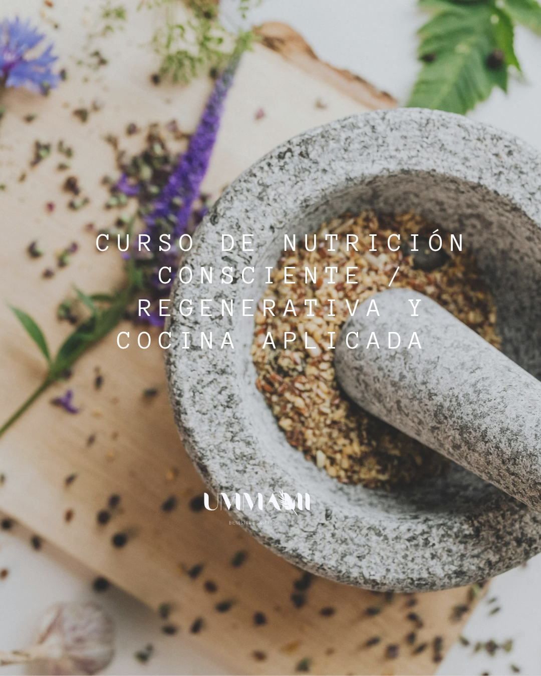 Curso de Nutrición consciente- regenerativa y cocina aplicada