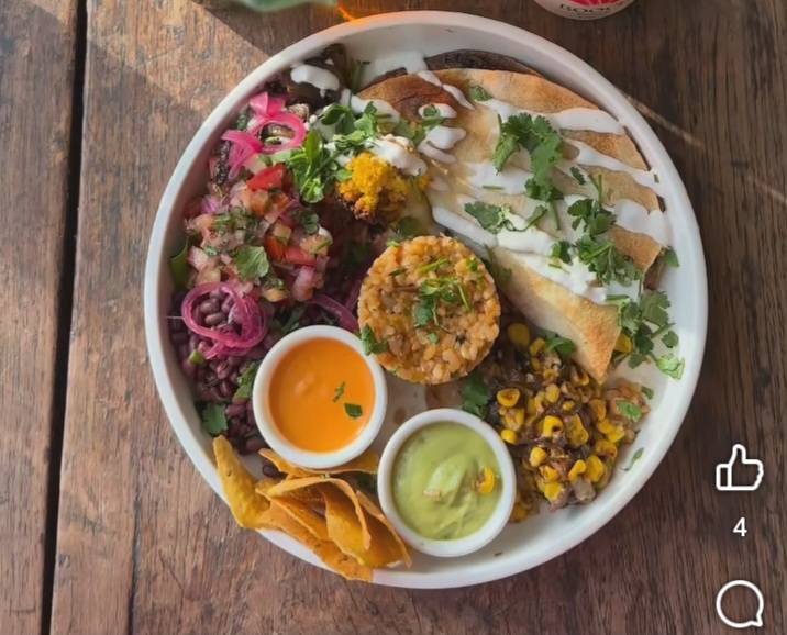 viandas congeladas pack 5